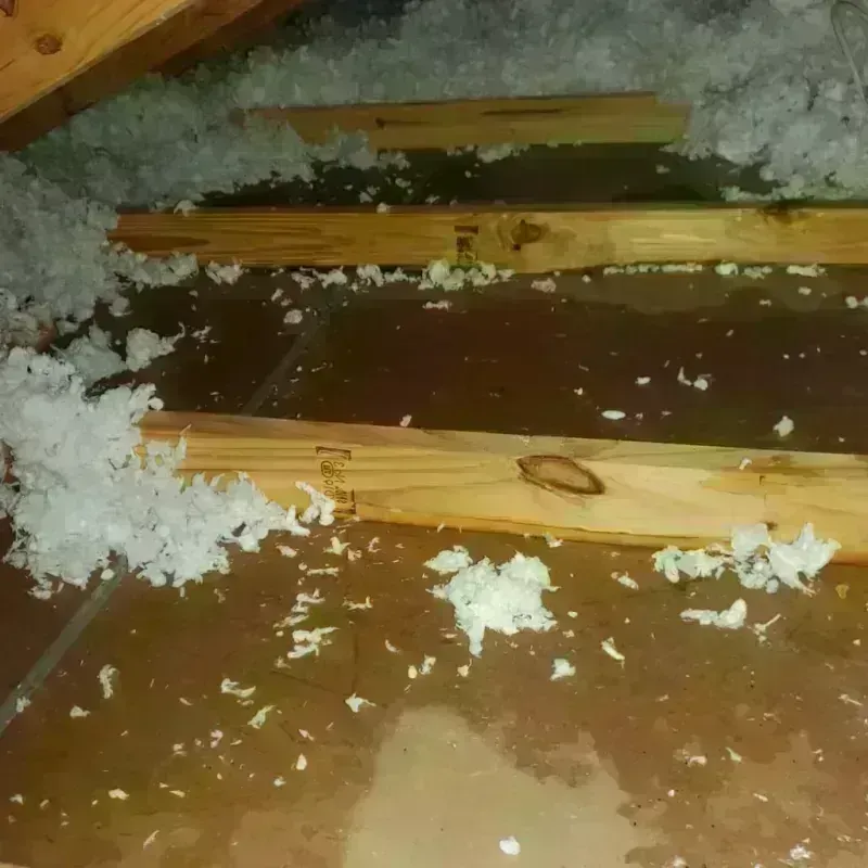 Attic Water Damage in Gallatin County, MT