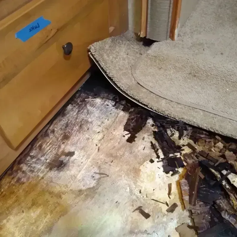 Wood Floor Water Damage in Gallatin County, MT